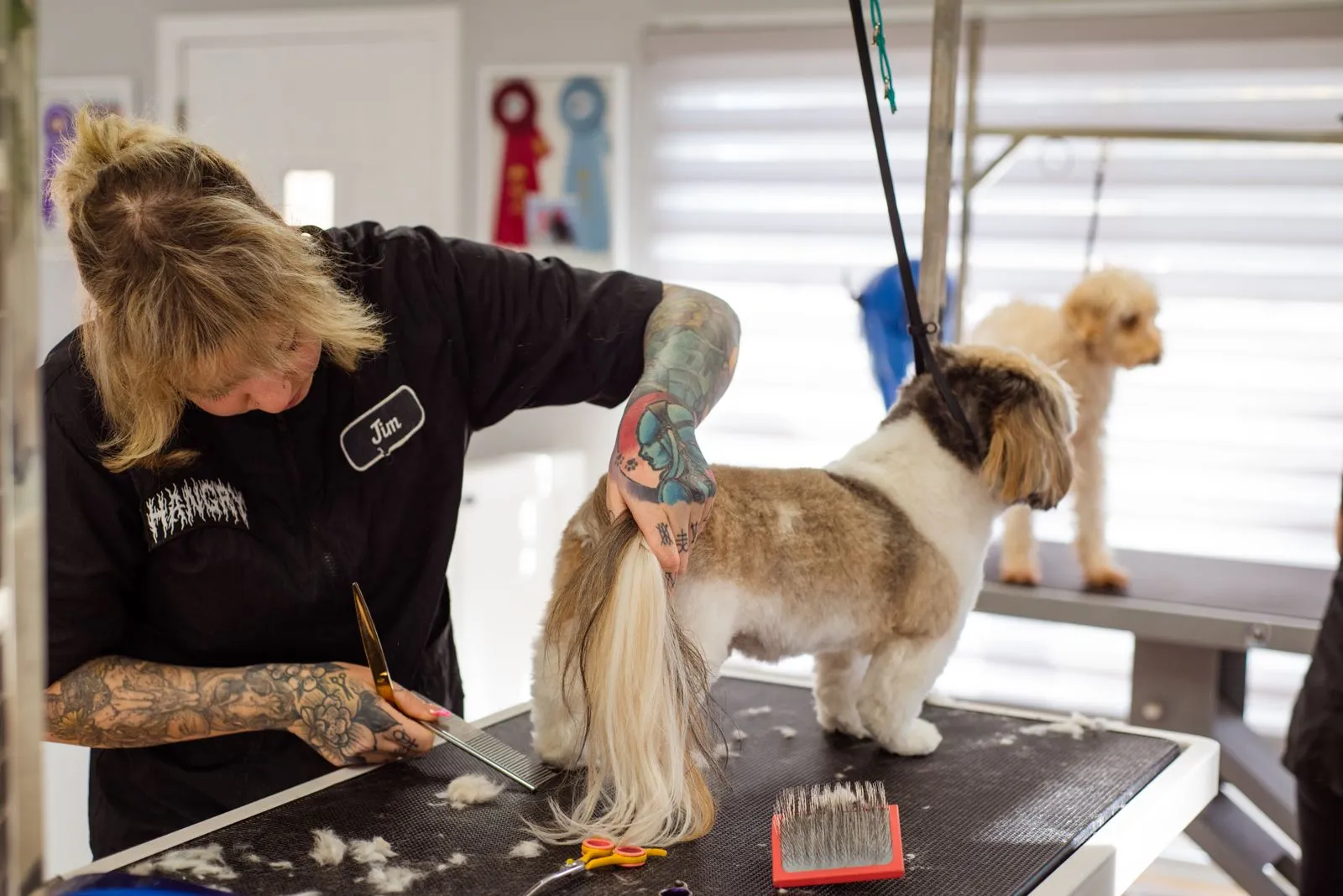 How to Prepare Your Dog for a Grooming Appointment