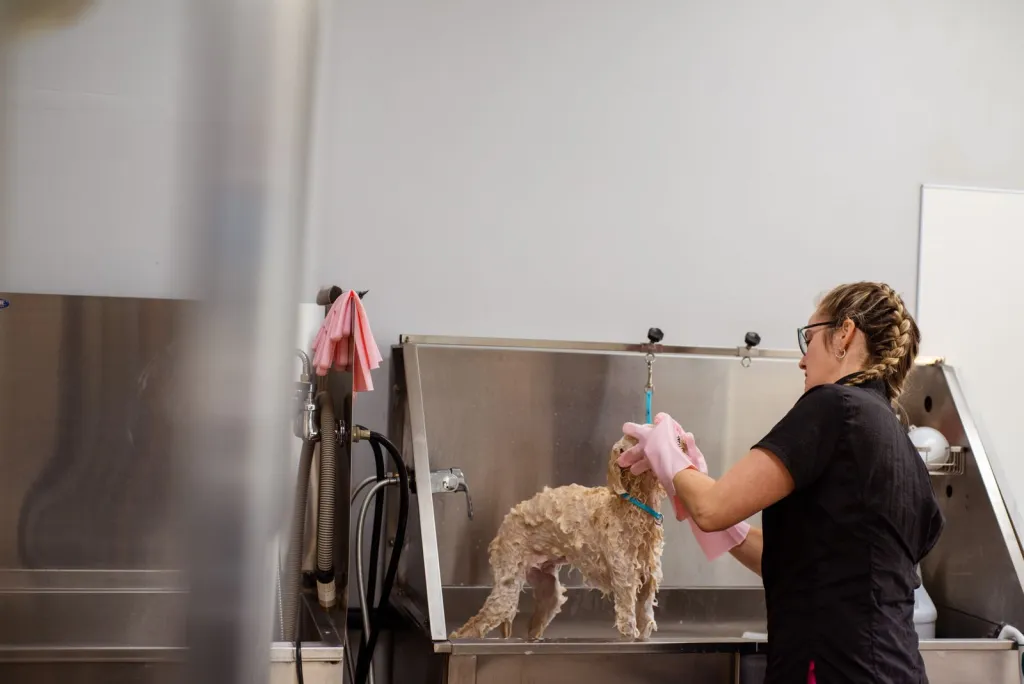 Gentle Grooming, Personal Care